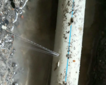 从江卫生间测漏水多少钱