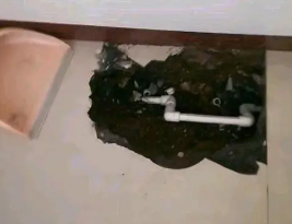 从江卫生间测漏水多少钱